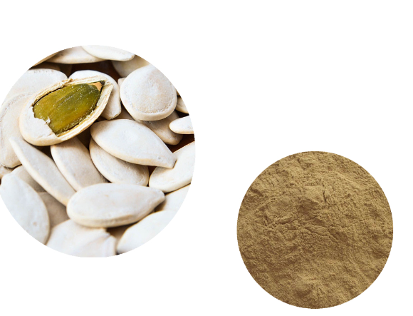 pumpkin seeds extract.png